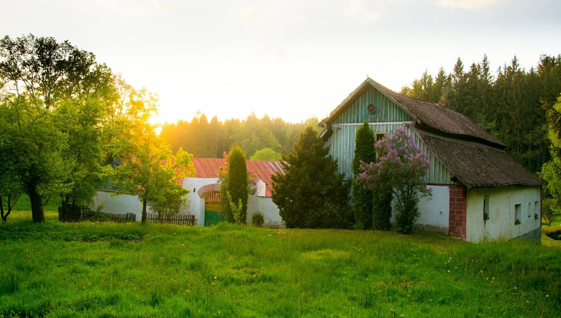 Měnič obrázků - fotografie